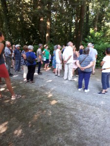 le groupe observe le séquoia dans l'allée royale